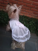 Vestido de Noiva Pet Luxo Tamanho Pequeno com Brinde