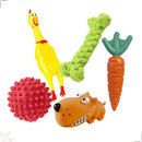 Kit 5 Brinquedos Interativos Legna para Cães Filhotes e Gatos