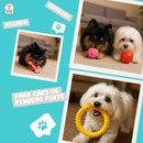 Kit 5 Brinquedos Pet de Borracha Não Tóxica para Cães de Pequeno Porte