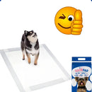 Tapete Higiênico Good Pad para Cães e Gatos 60x60cm 30 Unidades