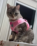 Peitoral Colete Refletivo com Guia para Cachorro Tamanho GG Rosa