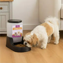 Kit Comedouro e Bebedouro Automático Pet 3L para Cães e Gatos Preto