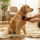 Máquina de Tosa Pet Profissional Sem Fio Recarregável Bivolt Preto e Vermelho