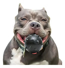 Bola Brinquedo Pet Maciça Extra Forte 70 mm para Cães Cor Azul