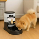 Kit Comedouro e Bebedouro Automático Pet 3L para Cães e Gatos Preto