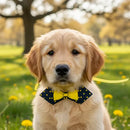 Kit 50 Gravatas Pet Shop Estampas e Cores Variadas Animal Print