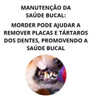 Kit 3 Mordedores Pet para Cães Porte Médio e Grande