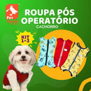 Kit 3 Roupas Pós Cirúrgicas para Cães Macho e Fêmea Cores Variadas Tamanho 05