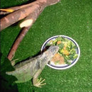 Tapete de Grama Sintética Higiênica Atóxica para Cães e Gatos Verde