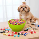 Kit 2000 Elásticos Pet para Penteado Acessórios de Banho e Tosa