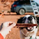 Esôfago Bovino Natural em Palito Kit com 10 Mordedores para Cães