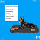 Cama Pet Grande Luxo 60x90cm Colchonete Confortável para Cães