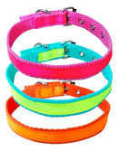 Coleira Pet em Nylon com Brilho Seda Tamanho G Cores Verde Laranja e Pink