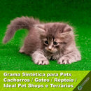 Tapete de Grama Sintética Higiênica Atóxica para Cães e Gatos Verde