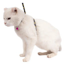 Peitoral Ajustável para Gatos Great Pets com Guia Preto em Nylon