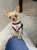 Peitoral Colete Refletivo com Guia para Cachorro Tamanho G Rosa