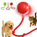 Bola Pet Inteligente Giratória Recarregável USB para Cães e Gatos