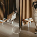 Comedouro Duplo Elevado Suspenso em Madeira com Tigelas para Cães e Gatos