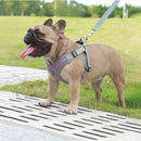 Peitoral Ajustável Reflexivo para Cães com Guia Conforto e Segurança