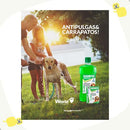 Shampoo Antipulgas e Carrapatos para Cães World Veterinária 500ml