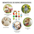 Kit 6 Brinquedos de Pelúcia Pet para Cães Pequenos Estampas Sortidas